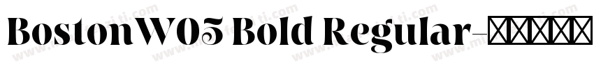 BostonW05 Bold Regular字体转换